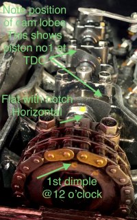 IMG_9656.jpeg IMG_9656.jpeg