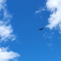 20240706_163304~3.jpg