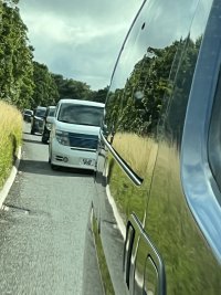 IMG_6152.jpeg