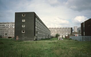 IMG_6017.jpeg