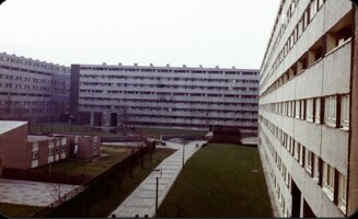 IMG_6018.jpeg