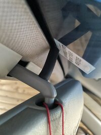 IMG_1889.jpeg