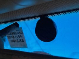 IMG_4228.jpg