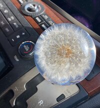 IMG_1630.jpeg