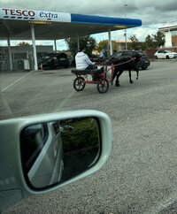 IMG_6397.jpeg