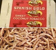 IMG_2536.jpeg