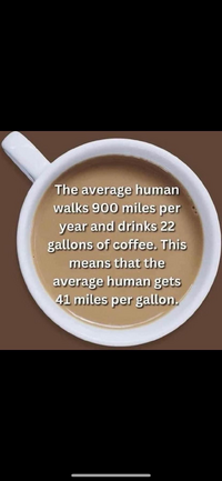 1733920408670.png