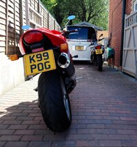 DSC_1594.JPG