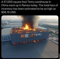1735919813482.png