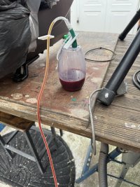 IMG_7184.jpeg