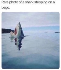 FB_IMG_1740908723555.jpg