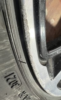 IMG_7350.jpeg