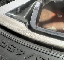 IMG_7351.jpeg