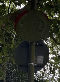 IMG_6035.jpeg