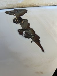 IMG_6092.jpeg