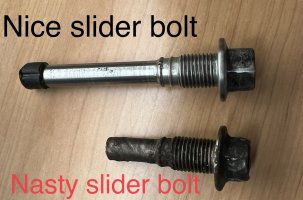 IMG_0244.jpeg