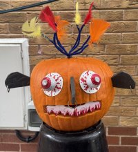 IMG_9142.jpeg