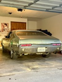 IMG_2257.jpeg