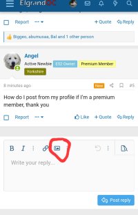 Screenshot_20260107_123532_Chrome.jpg
