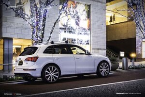 White Q5  with Lowenart Wheels.jpg