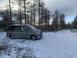 IMG_5164.jpeg IMG_5164.jpeg