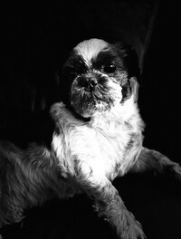 IMG_9831.jpeg