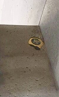 IMG_0383.jpeg
