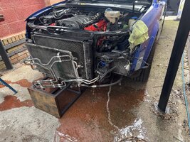 IMG_0316.jpeg