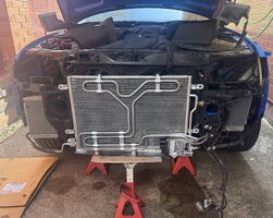 IMG_0389.jpeg