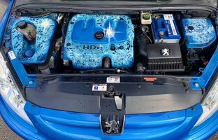 IMG_0395.jpeg