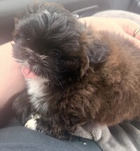 IMG_0743.jpeg