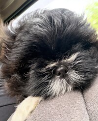 IMG_0746.jpeg