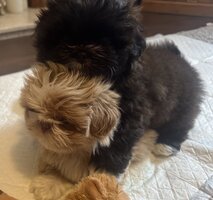 IMG_0766.jpeg