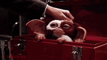 IMG_0582.gif