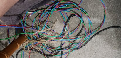 Canare Cable With Outer Stripped.jpg