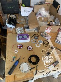 IMG_8866.jpeg