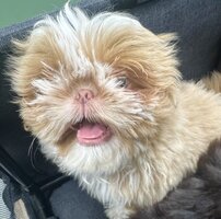 IMG_0942.jpeg