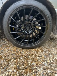 IMG_7053.jpeg