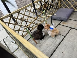 IMG_1034.jpeg