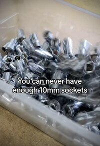 IMG_2052.jpeg