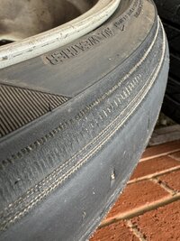 IMG_6066.jpeg