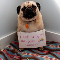 699869674-eat-crayons1.jpg