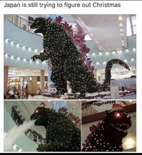 FDF9D05F-E1C6-40E4-BC77-2A38845069E6.jpeg