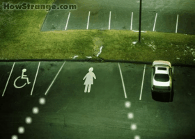 pic09668.gif