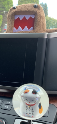 59E7E265-E9AF-49D7-A821-E913197AB851.png